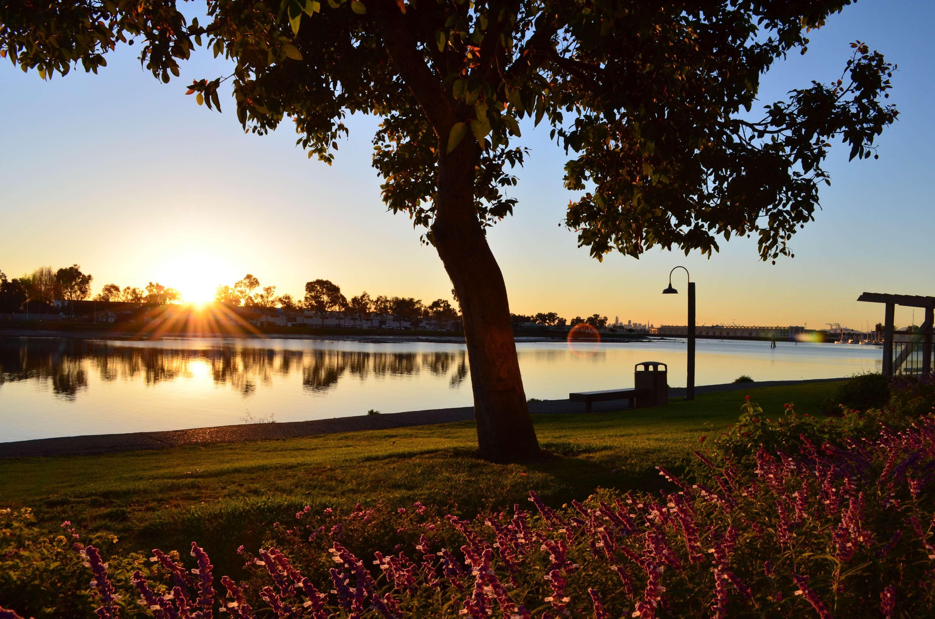 Best Western Plus Bayside Hotel Oakland Zewnętrze zdjęcie